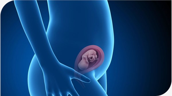 做试管为什么要养囊？