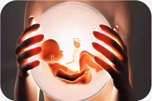 卵巢保养的最佳食物是什么？