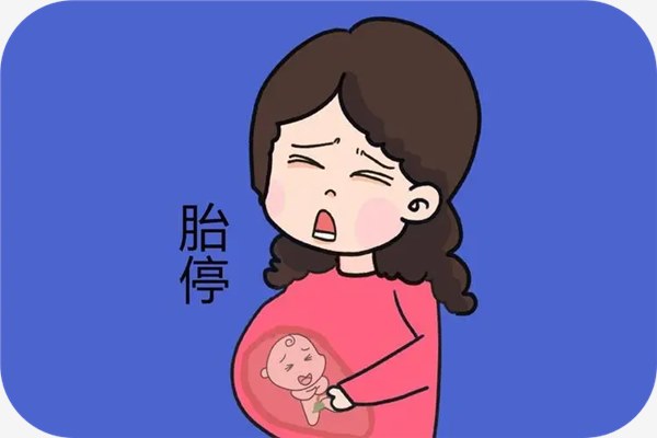 为什么大龄妈妈更容易胎停？